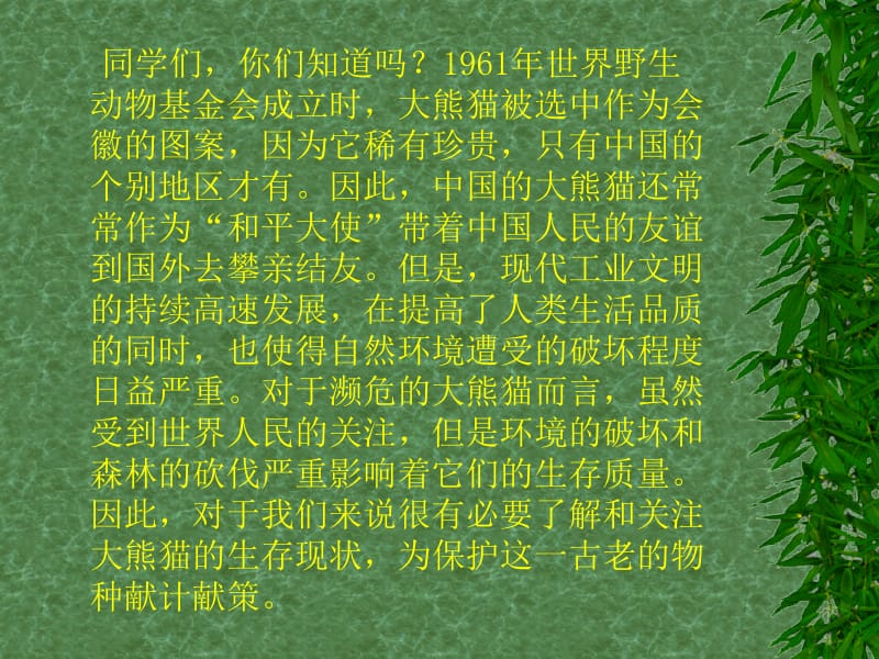 国宝大熊猫1.ppt_第2页