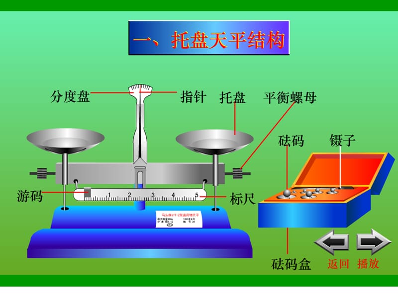 天平使用.ppt_第1页