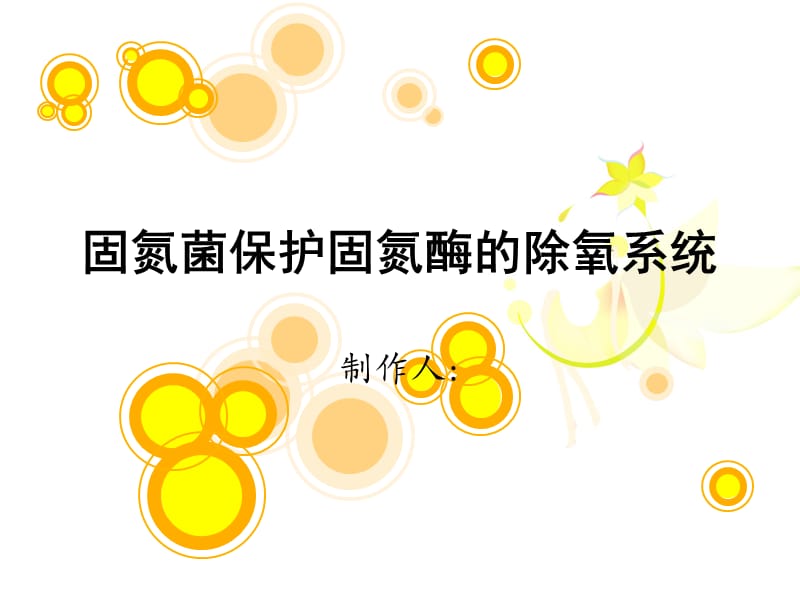 固氮菌的防氧保护机制.ppt_第1页