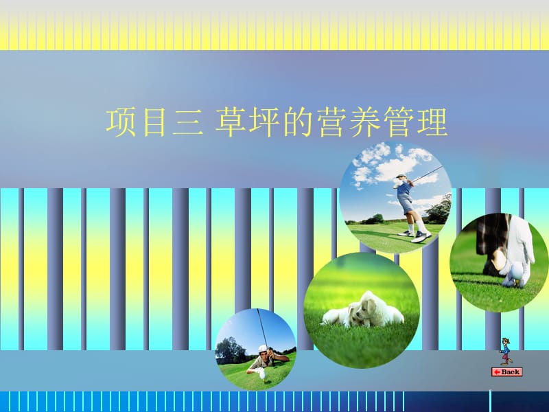 《草坪的营养管理》PPT课件.ppt_第1页