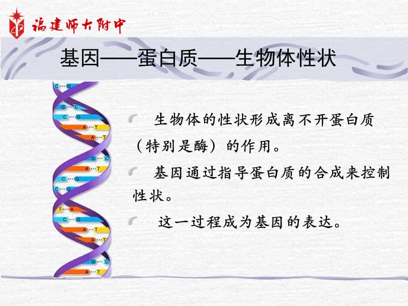 基因的表达（公开课）.ppt_第2页