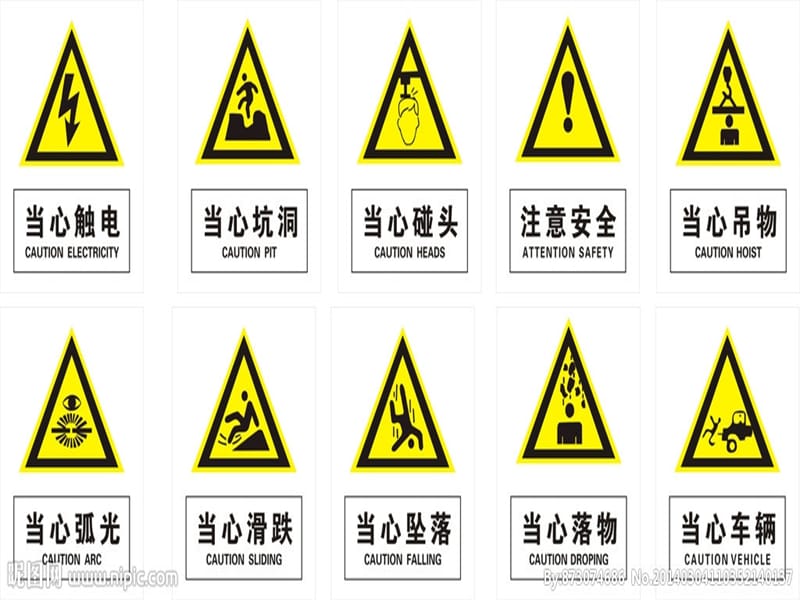 大班社会活动《生.ppt_第3页