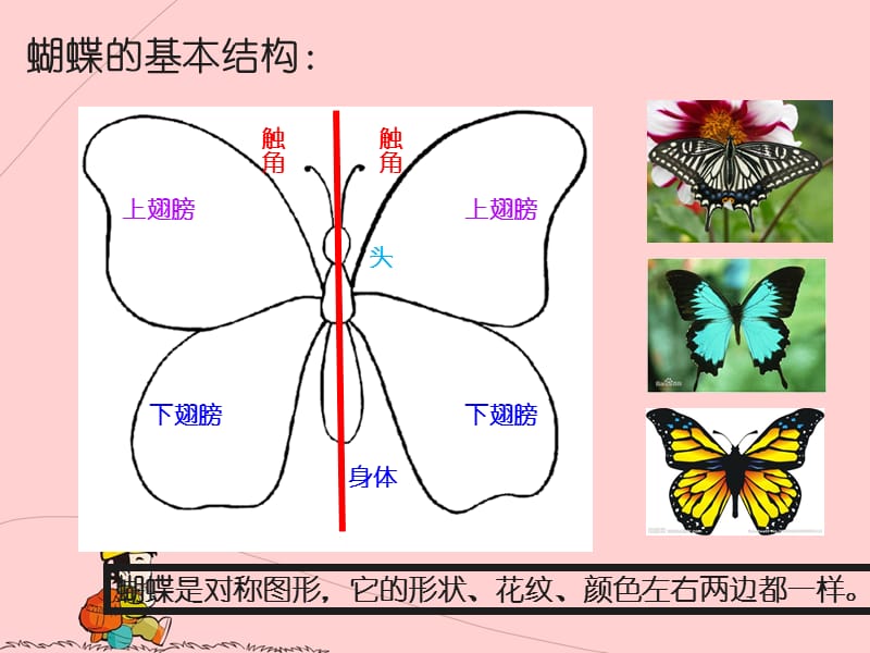 《折剪蝴蝶》PPT.ppt_第3页