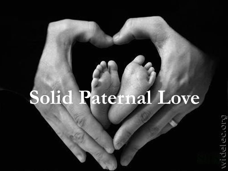 父爱Solid Paternal Love.ppt_第1页