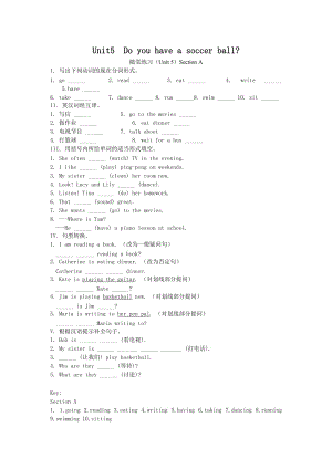 4.【课时训练】Unit 5 Do you have a soccer ball.Section A.doc