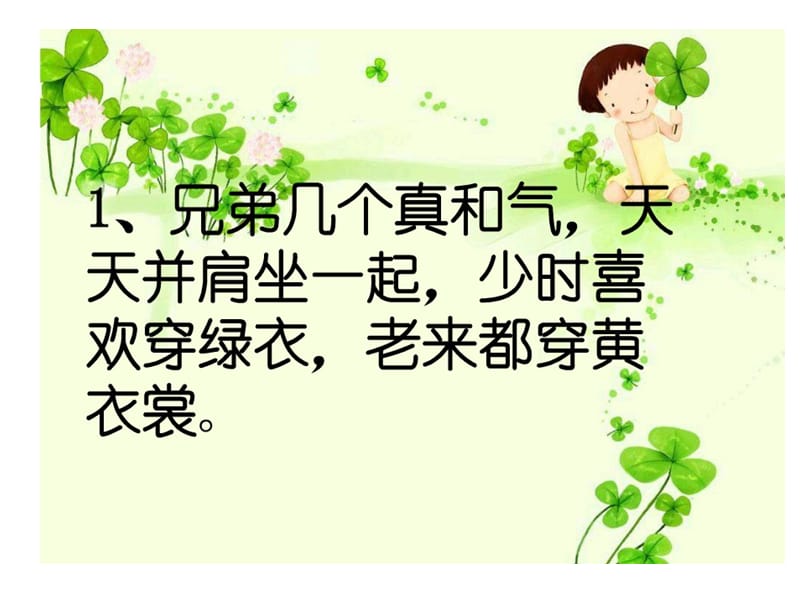 各式各样的水果课件PPT.ppt_第3页