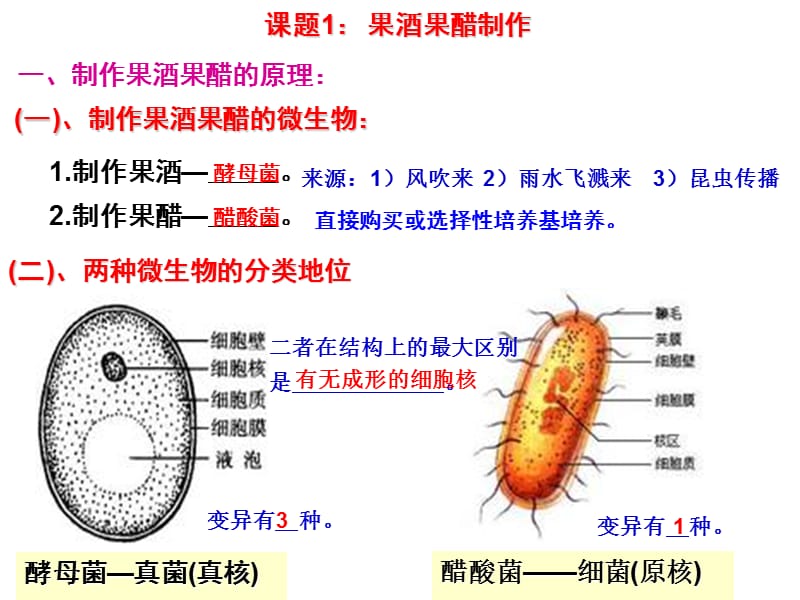 果酒果醋.ppt_第2页