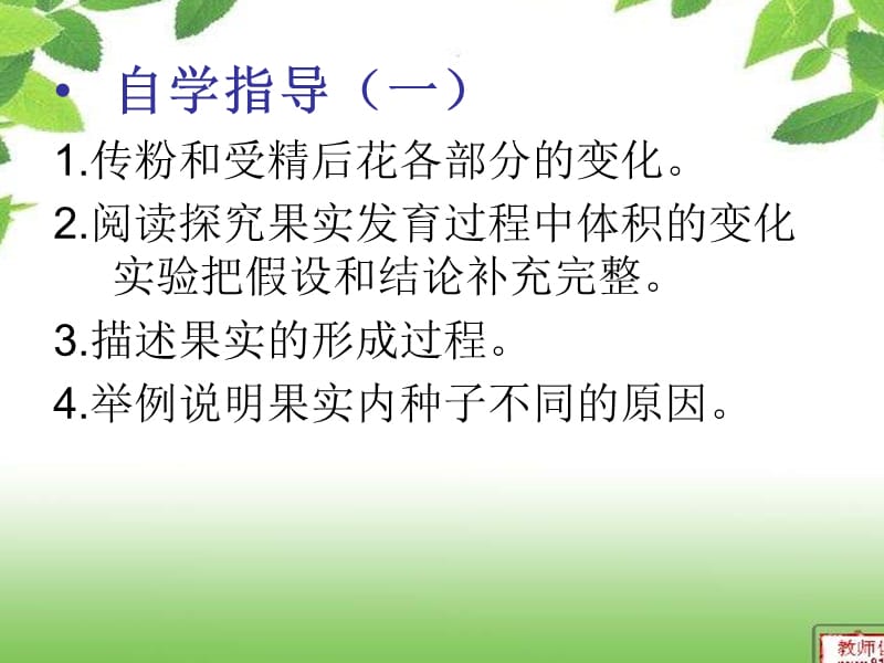 果实和种子的形成 (1).ppt_第3页