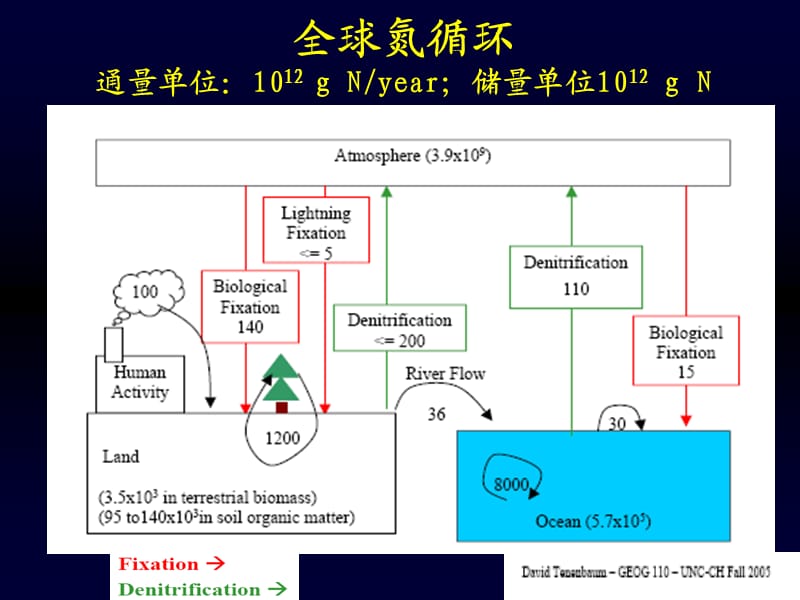 氮循环过程及机理.ppt_第2页