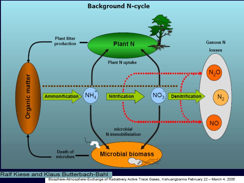 氮循环过程及机理.ppt_第3页