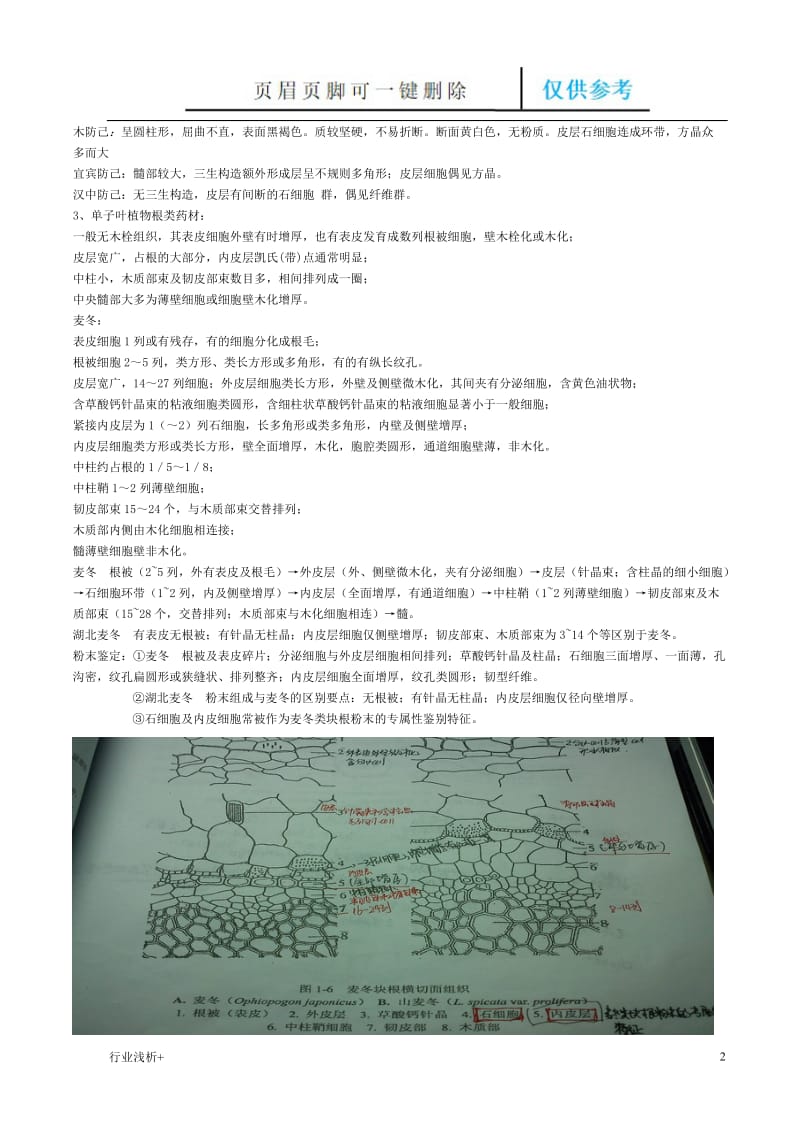 中药显微鉴定[研究材料].doc_第2页