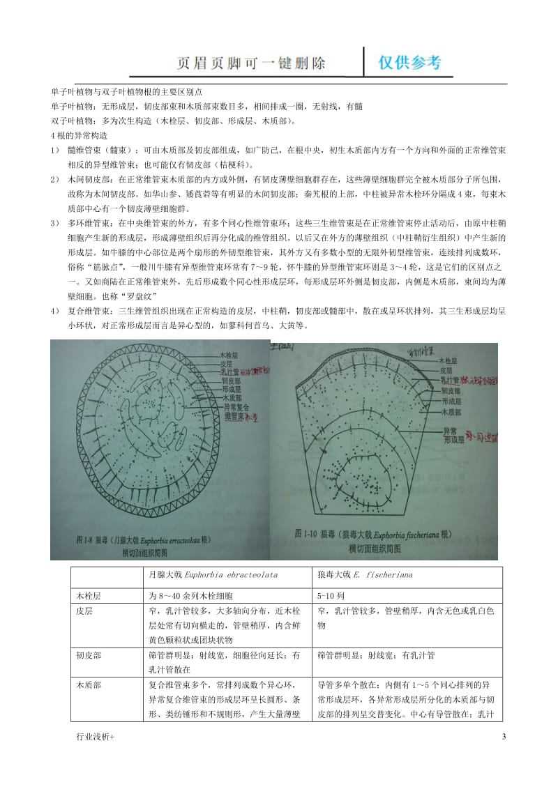 中药显微鉴定[研究材料].doc_第3页