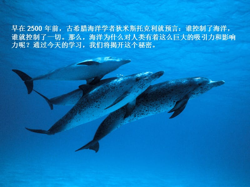 海洋与生命优秀整理.ppt_第1页