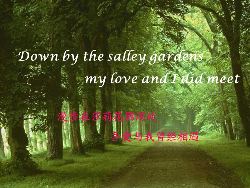 down_by_the_sally_gardens.ppt_第3页