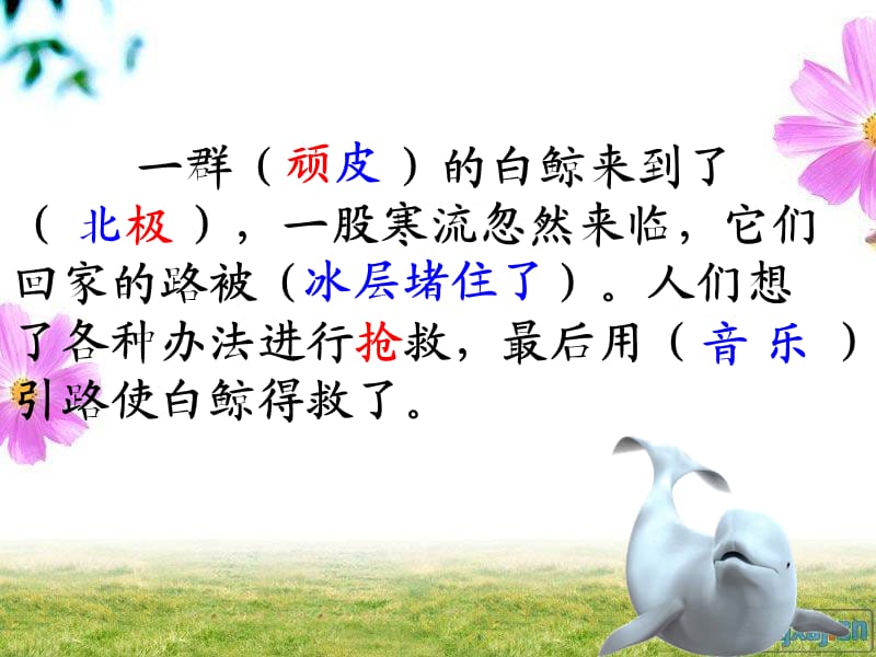 白鲸得救了修改.ppt_第3页