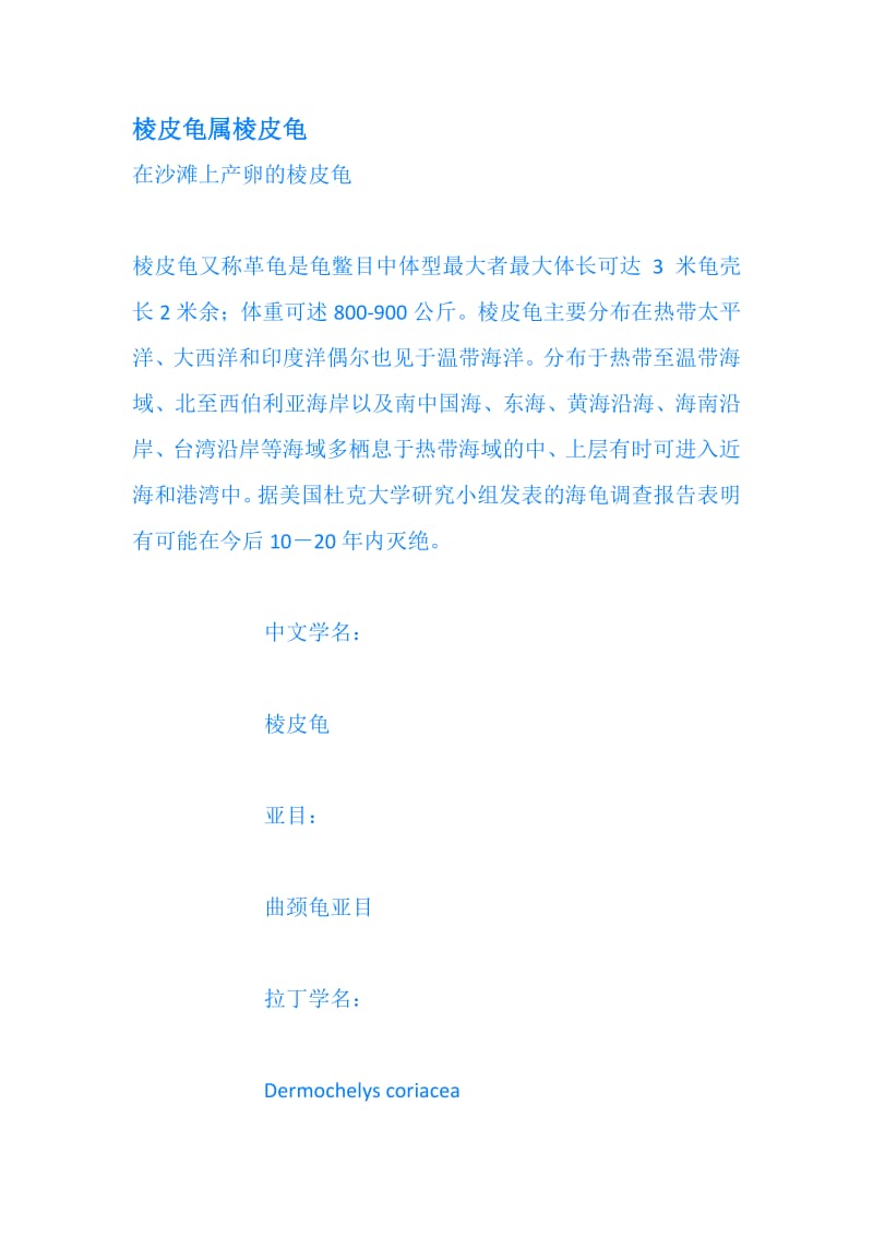 棱皮龟属棱皮龟.pdf_第1页