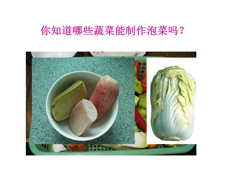 泡菜制作(上课).ppt_第2页