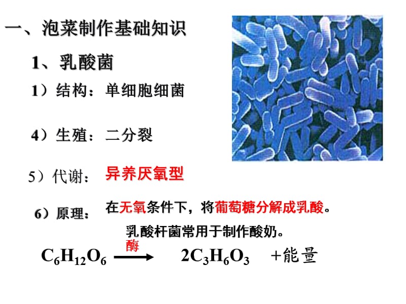 泡菜制作(上课).ppt_第3页