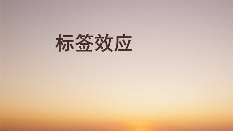 标签效应.ppt_第1页