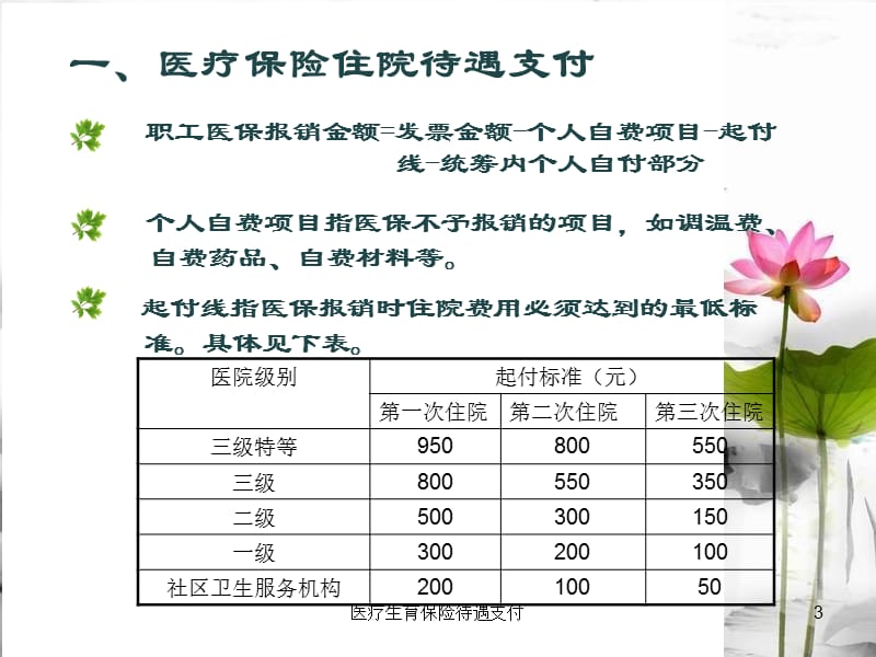 医疗生育保险待遇支付PPT课件.ppt_第3页