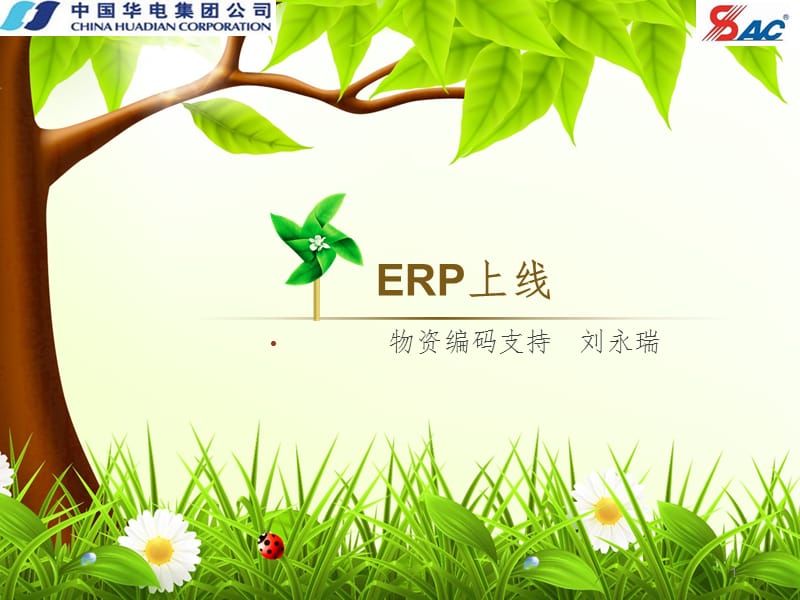 ERP上线支持PPT课件.ppt_第1页