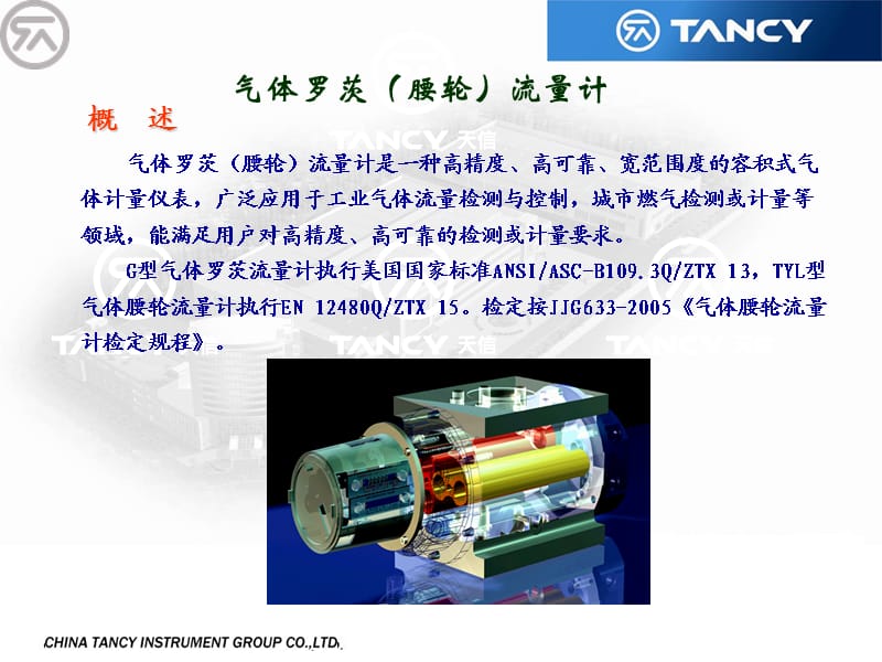 气体罗茨流量计.ppt_第1页