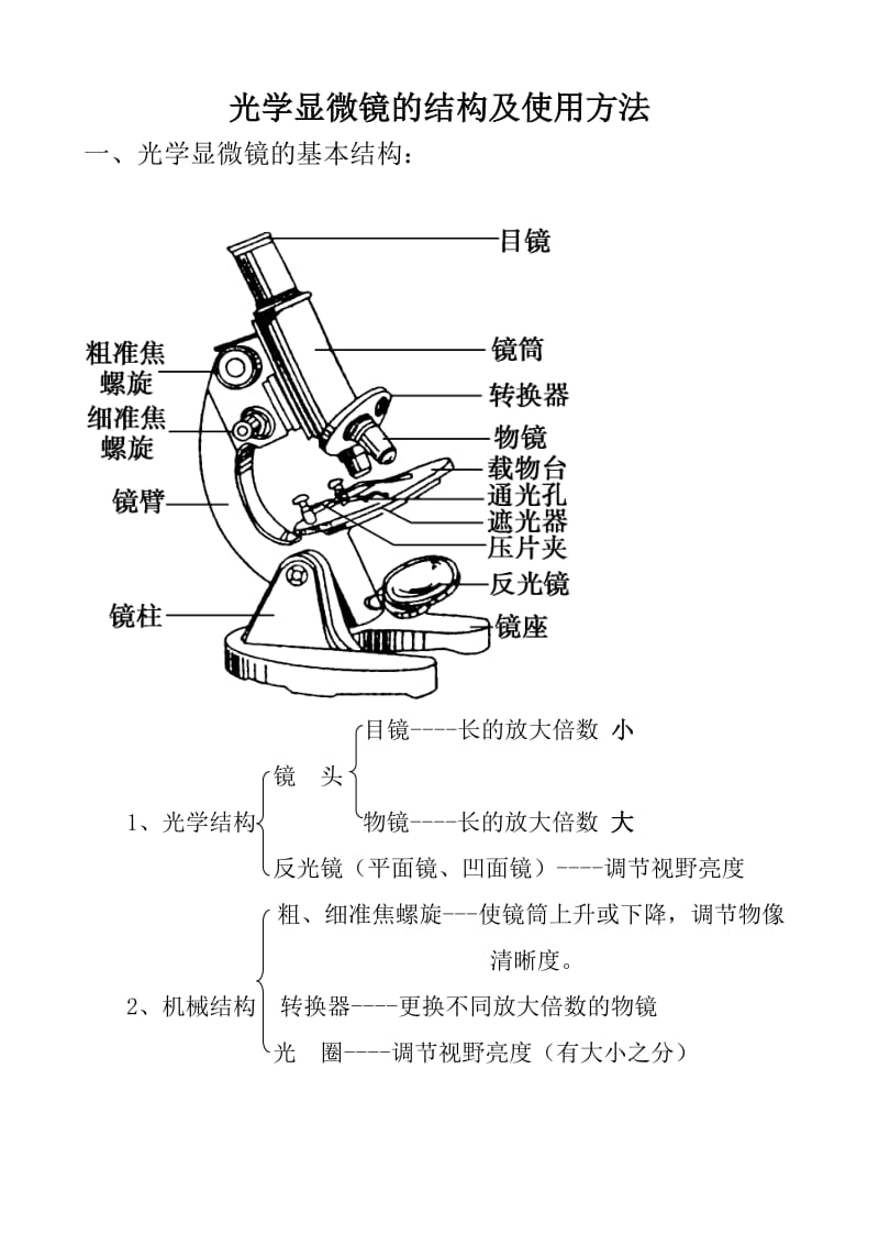 显微镜的结构及使用方法.doc_第1页