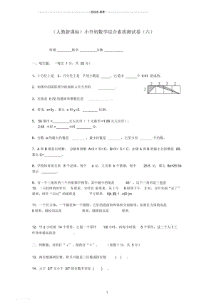 小学六年级数学小升初综合素质测试卷(六)人教新课标版.docx