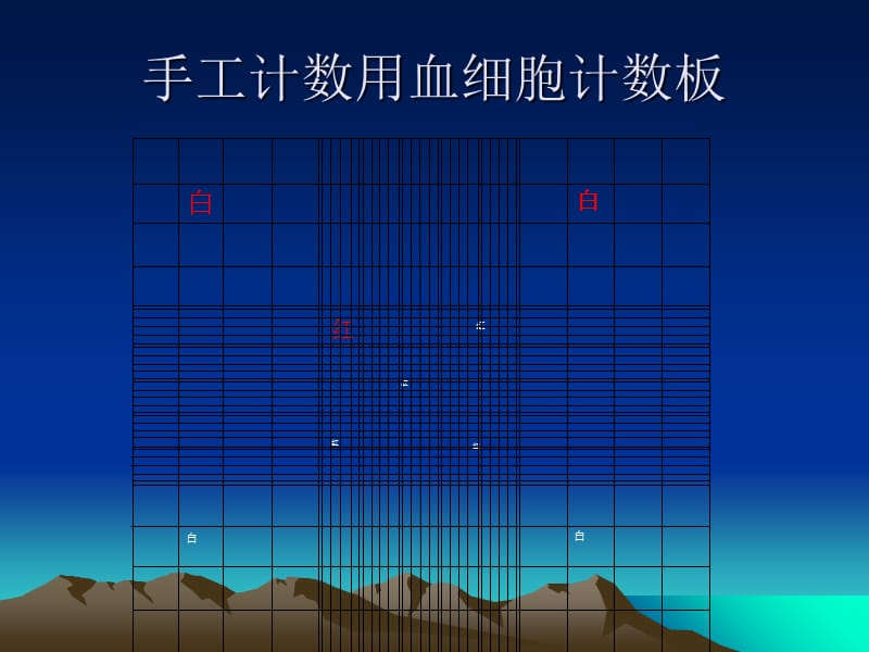 白细胞计数与分类.ppt_第3页