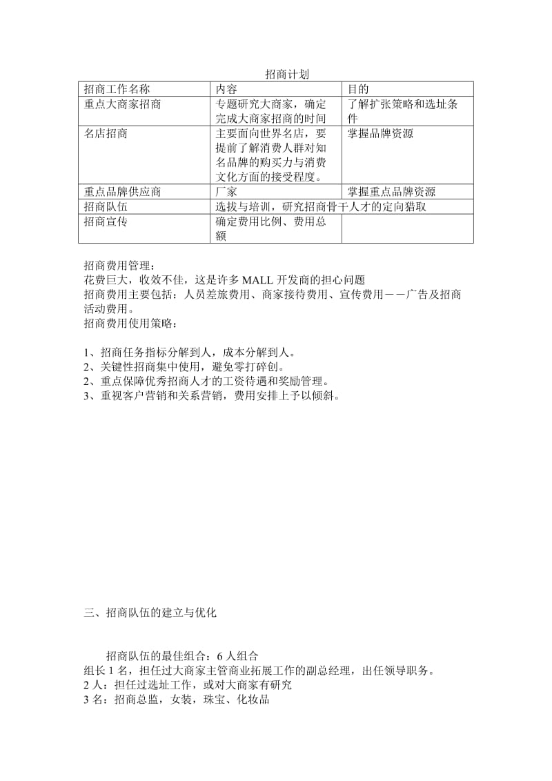 大型Mall招商策划及招商方案.doc_第3页