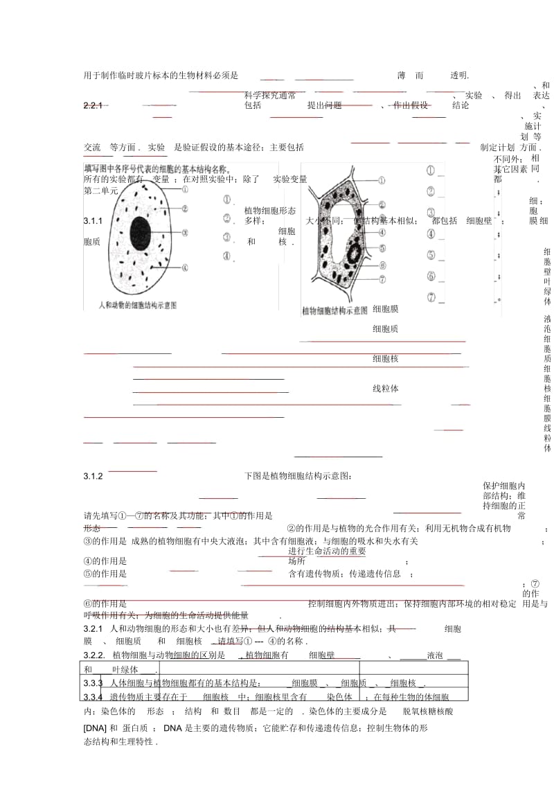 七年级生物(苏教版)上学期知识点总结.docx_第3页