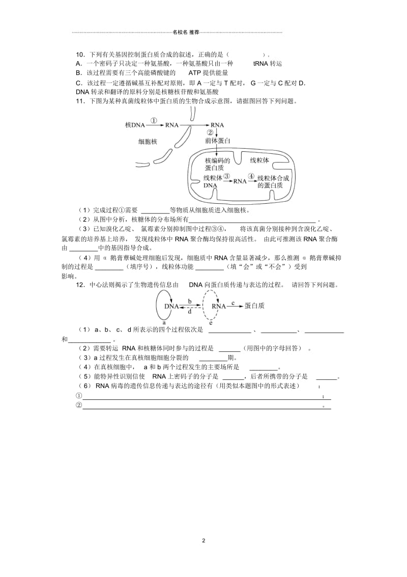 浙科版高中生物必修2第三章第四节遗传信息的表达——RNA和蛋白质的合成.docx_第3页