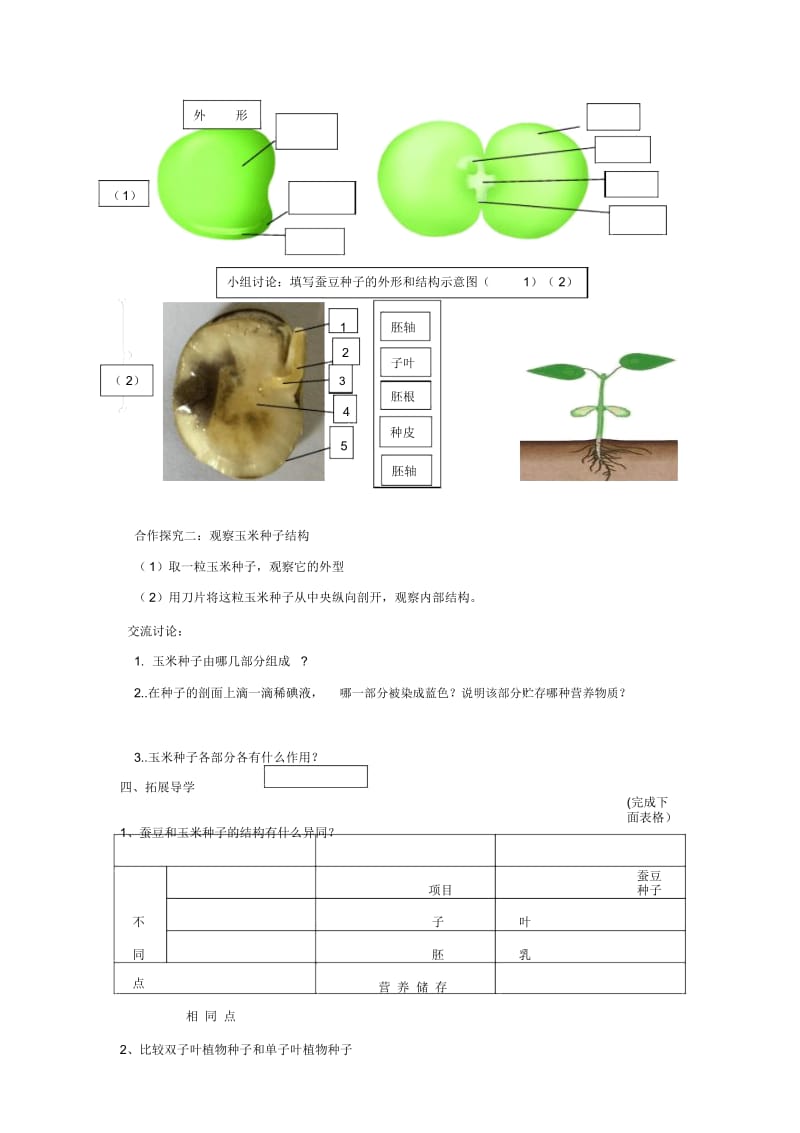 苏科版初中生物八上第七单元19.2《植物的生长发育》导学案(无答案).docx_第2页