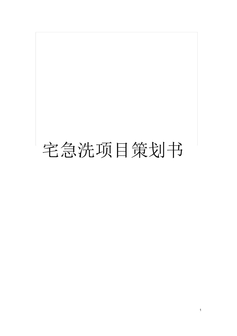 宅急洗项目策划书.docx_第1页