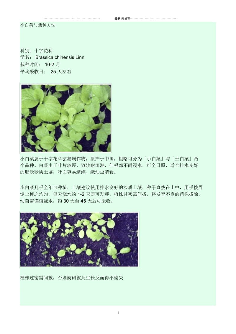 小白菜种植方法(附图).docx_第1页