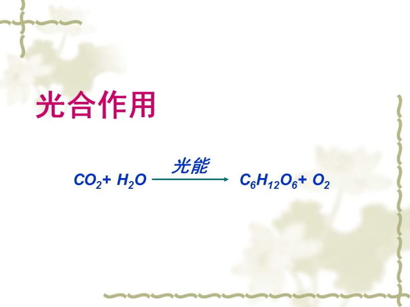 色素提取和分离.ppt_第1页