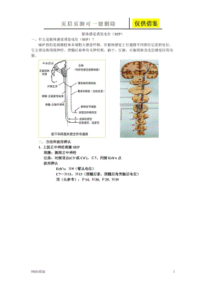 体感诱发电位[行业一类].doc