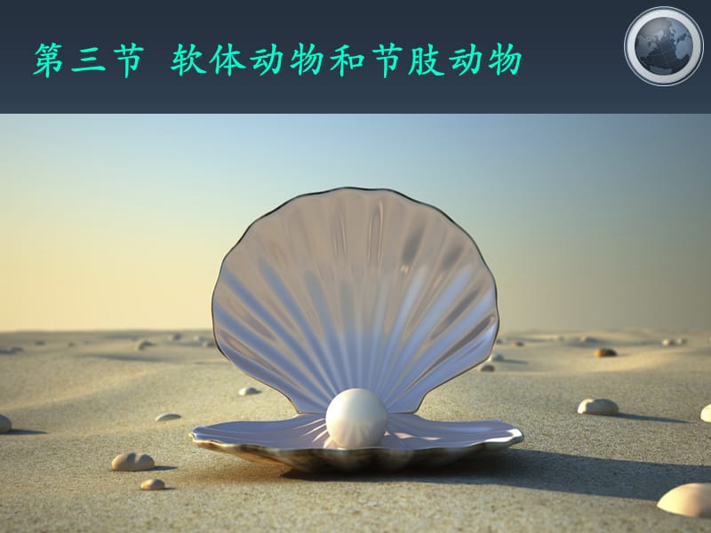 腔肠动物,扁形动物.ppt_第1页