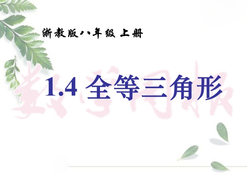 14全等三角形.ppt_第1页