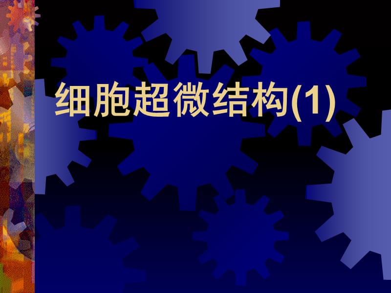 细胞超微结构(1).ppt_第1页