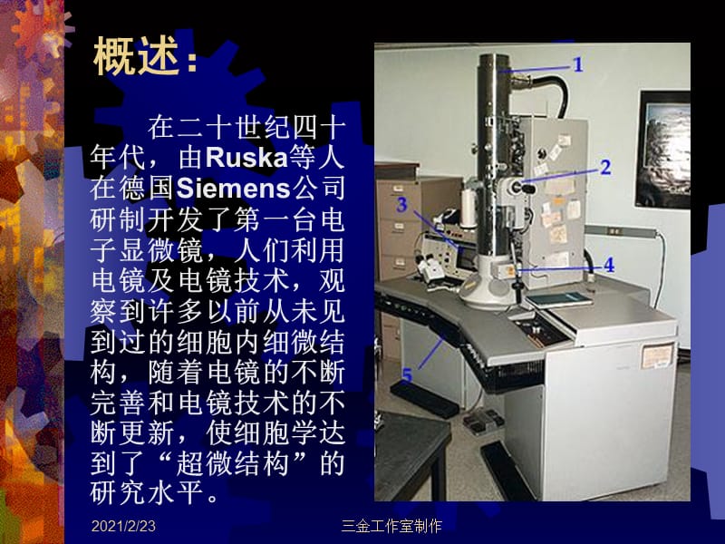 细胞超微结构(1).ppt_第2页