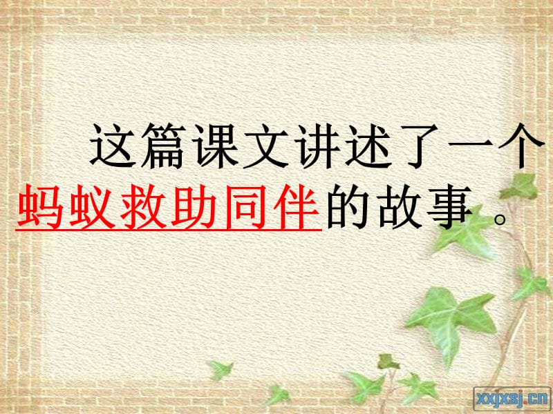 蚂蚁的救助12.ppt_第3页