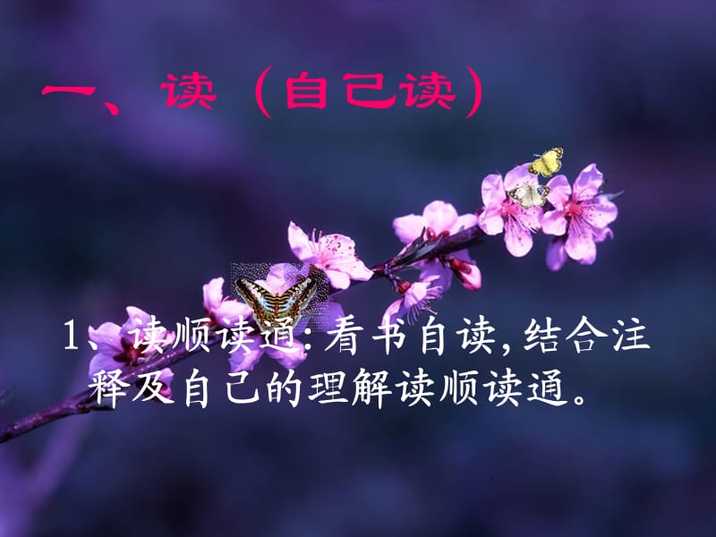 蝶恋花 ppt课件1.ppt_第3页