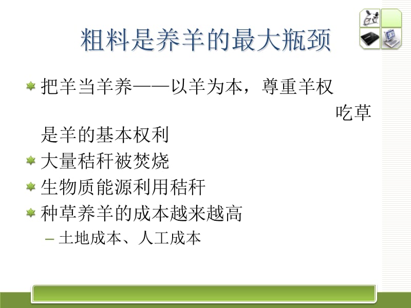 羊饲料原料的开发.ppt_第3页