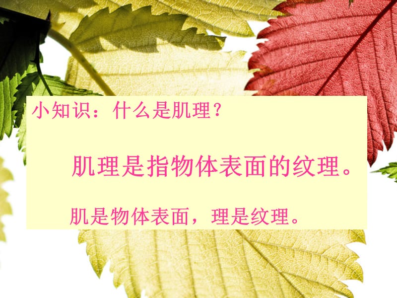 神奇的肥皂粉.ppt_第2页