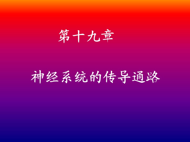 脑和脊髓的传导通路.ppt_第1页