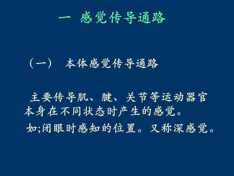 脑和脊髓的传导通路.ppt_第3页