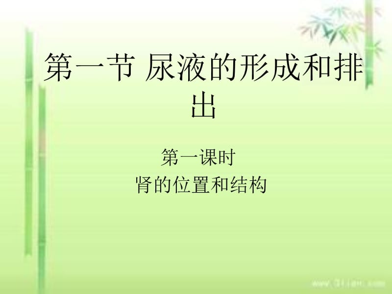 肾脏的结构和功能.ppt_第1页