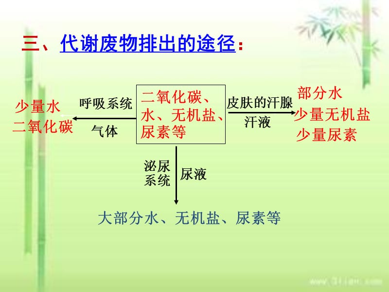 肾脏的结构和功能.ppt_第3页