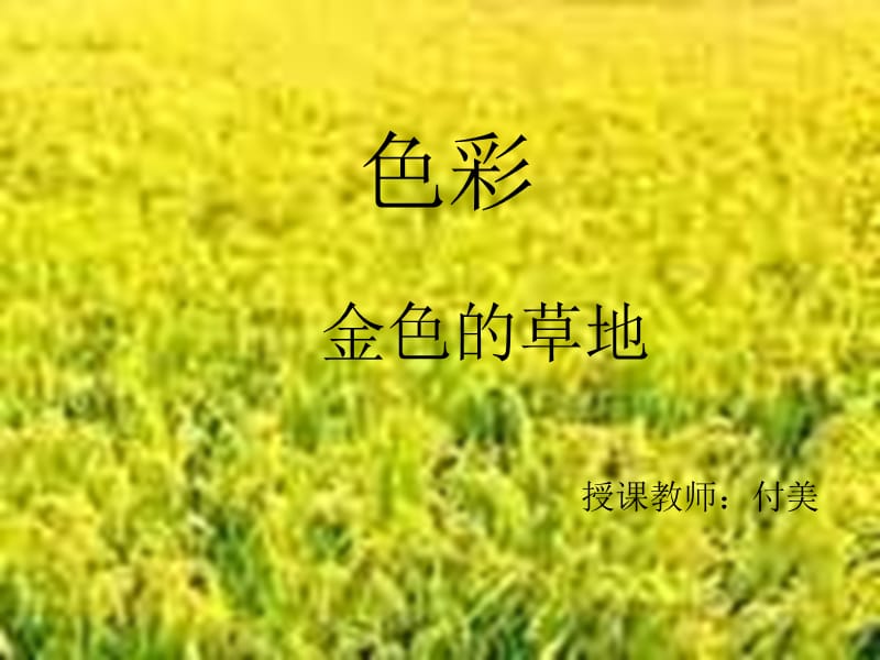 色彩 金色的草地.ppt_第1页